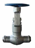High pressure_pressure sealed globe valve